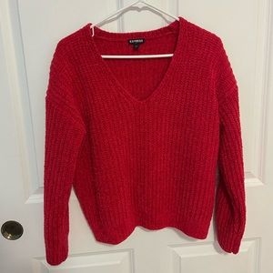 Express V- neck sweater